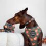 Harvest Pumpkin Patch Dog Harness, thumbnail 3 of 5