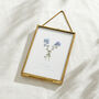 Personalised In Memory Forget Me Not Pressed Flower Frame, thumbnail 3 of 4