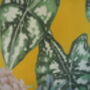Mustard Velvet Exotic Flora, thumbnail 6 of 6