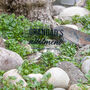 Personalised Acrylic Allotment Sign, thumbnail 4 of 7
