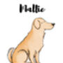 Golden Retriever Personalised Dog Personality Print, thumbnail 2 of 3