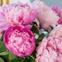 Fresh Handmade Pink Peonies Bouquet, thumbnail 3 of 4