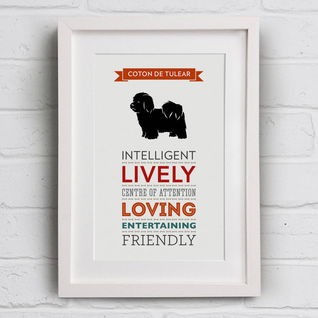 Coton De Tulear Dog Breed Traits Print By Well Bred Design