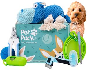 Toys for Pets | notonthehighstreet.com