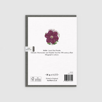 Art Greeting Card Clematis Mamorata, 2 of 3