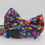 Multicoloured Confetti Dog Bow Tie, thumbnail 3 of 11