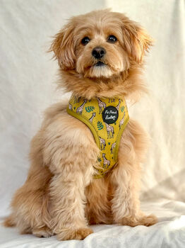 Wild Giraffe Dog Harness With Optional Set, 11 of 12