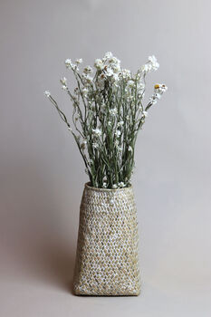 Natural Dried White Daisy Flowers, 4 of 4