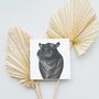 Carina The Hippo Luxury Blank Greeting Card, thumbnail 3 of 3