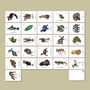 Vulnerable Species Alphabet Postcard Set, thumbnail 7 of 7