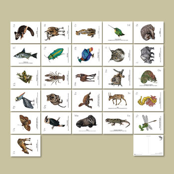 Vulnerable Species Alphabet Postcard Set, 7 of 7