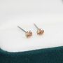 Sterling Silver November Birthstone Earrings, thumbnail 5 of 12