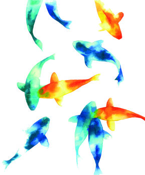 'Swimming In Colour' Koi Watercolour Print, 2 of 4