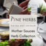 Mother Sauces Herb Collection Six X Nine Cm Herbs With Pots, Booklet, Snips And Wooden Plant Labels, thumbnail 1 of 12