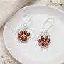 Sterling Silver Baltic Amber Paw Print Drop Earrings: Cat And Dog Lover Gift – 15mm, thumbnail 5 of 9
