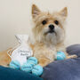 Personalised Tiny Dog Tennis Balls With Matching Bag, thumbnail 1 of 11