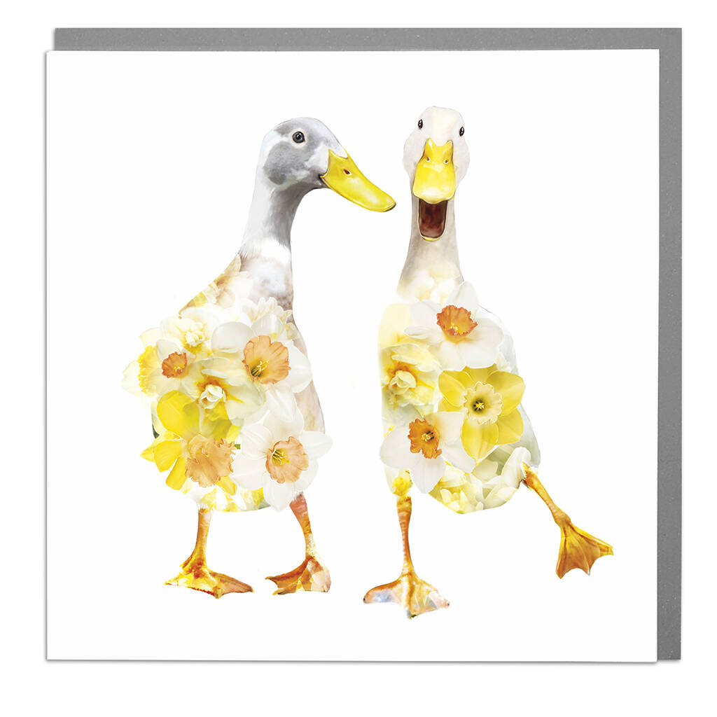 Indian Runner Ducks Card By Lola Design Ltd