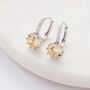Champagne Crystal Drop Huggie Statement Earrings, thumbnail 3 of 3