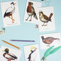 Birds In Hats A6 Greetings Card Set, thumbnail 1 of 10