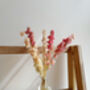 Dried Flower Reed Diffuser Daisy, thumbnail 2 of 2