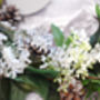 Personalised Ivy Christmas Wreath, thumbnail 2 of 3