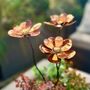 Set Of Three Mini Copper Dahlia Garden Planter Stakes, thumbnail 4 of 9