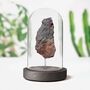 Xl Chondrite Authentic Meteorite Glass Dome Bell Jar, thumbnail 2 of 2