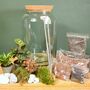 Large Diy Terrarium Kit With Three Plants Plant Gift, thumbnail 9 of 10