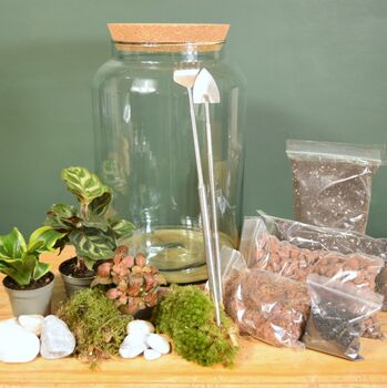 Large Diy Terrarium Kit With Three Plants Plant Gift, 9 of 10