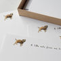 Boxed Set Of 10 Border Terrier Notecards, thumbnail 4 of 5