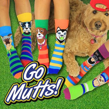 United Oddsocks Go Mutts! Men's Gift Box Set, 2 of 3