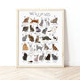 The A To Z Of Cats Print, thumbnail 1 of 6