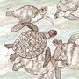 'Swimming Turtles' Print, thumbnail 3 of 3