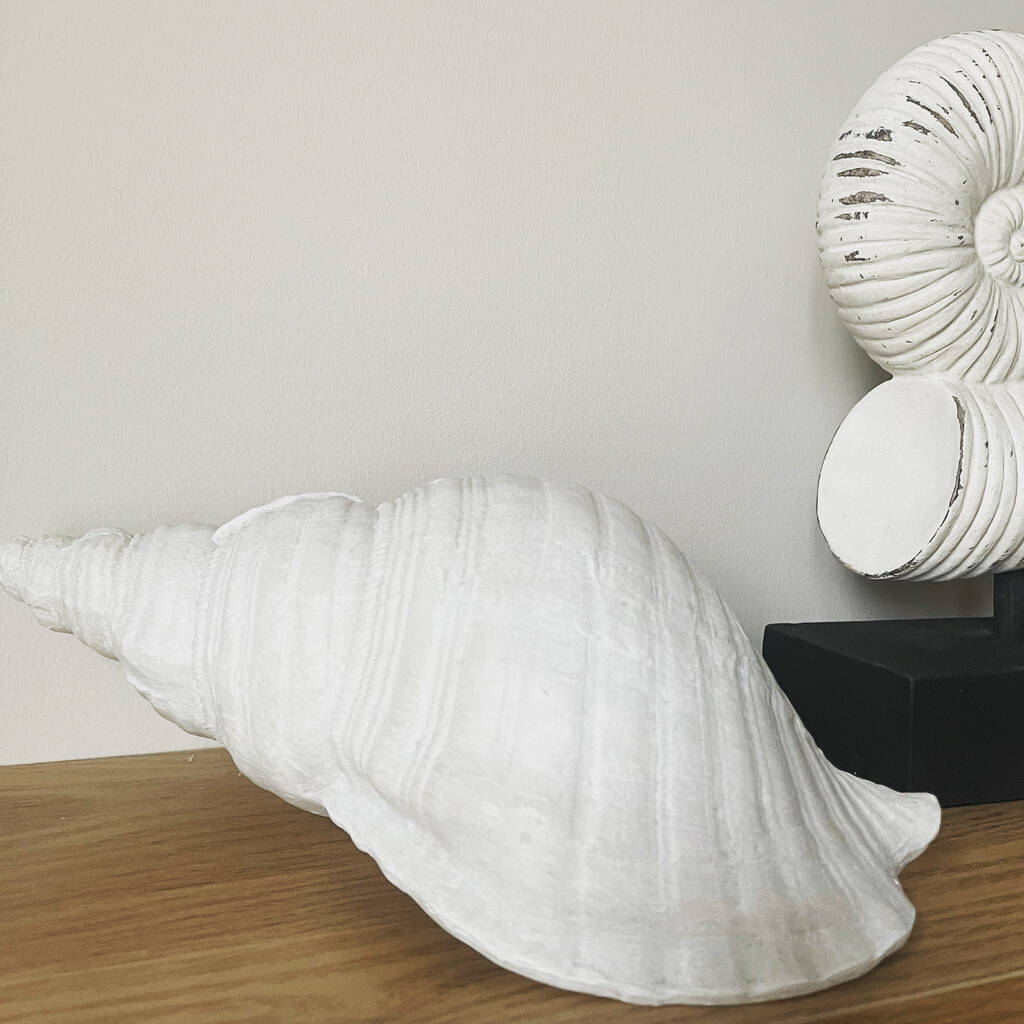 Handmade Decorative Sea Shell By Price And Coco Interiors 