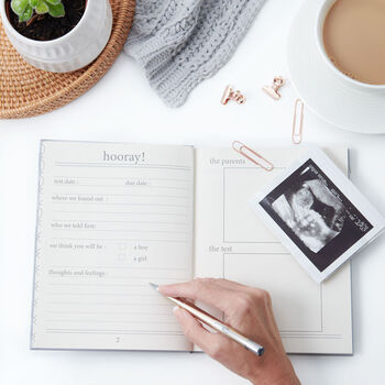 Pregnancy Record Book Diary, 5 of 5