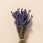 English Dried Lavender Two Bunches As A Gift, thumbnail 3 of 5