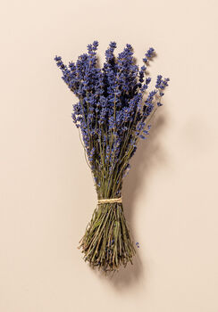 English Dried Lavender Two Bunches As A Gift, 3 of 5