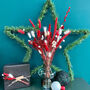 The Candy Cane Christmas Letterbox Dried Flowers, thumbnail 5 of 5