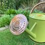 Lemon And Lime Green And Copper Trim Watering Can Duo, thumbnail 4 of 9