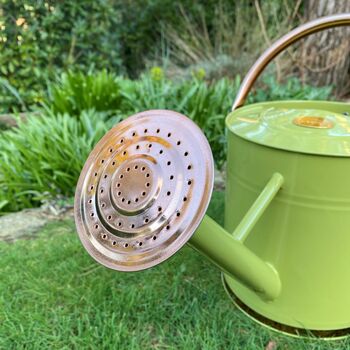 Lemon And Lime Green And Copper Trim Watering Can Duo, 4 of 9