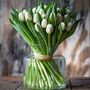 Fresh White Tulips Bouquet, thumbnail 1 of 3
