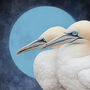 Celestial Companions' – Elegant Seabird Art, thumbnail 6 of 6