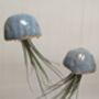 Ceramic Shell Jellyfish Air Plant Gift For Plant Lover, thumbnail 3 of 12