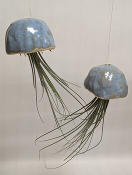 Ceramic Shell Jellyfish Air Plant Gift For Plant Lover, 3 of 12