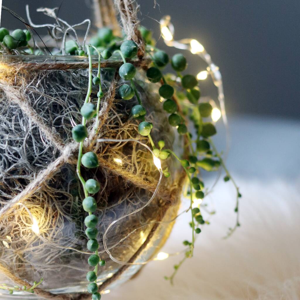 Christmas Hanging Plant Bauble By FlowerBe