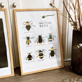 Illustrated British Bees Springtime Print Unframed, 4 of 6