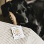 Dog Dad Badge On Personalised Card, thumbnail 1 of 2