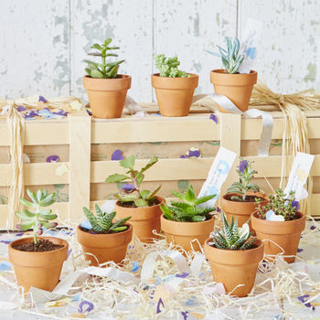 Personalised Succulents Wedding Favours, 2 of 3