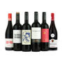 Red Wine Discovery Case – A Mixed Selection Of Six International Reds, thumbnail 2 of 8
