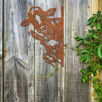 Rusty Peaking Farm Animals Metal Decor Garden Gift, 10 of 10